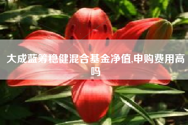 大成蓝筹稳健混合基金净值,申购费用高吗