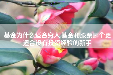 基金为什么适合穷人,基金和股票哪个更适合没有投资经验的新手