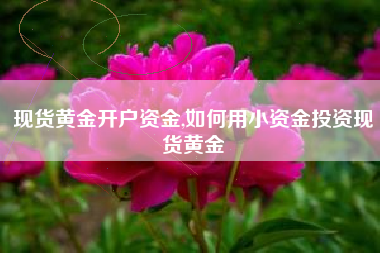 现货黄金开户资金,如何用小资金投资现货黄金