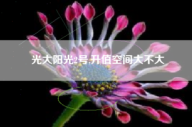 光大阳光2号,升值空间大不大