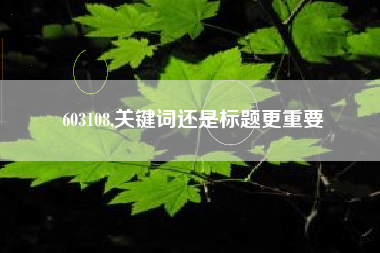 603108,关键词还是标题更重要