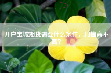 开户宝城期货需要什么条件，门槛高不高？