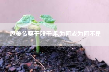 思美传媒千股千评,为何或为何不是