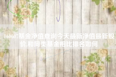 160607基金净值查询今天最新净值最新股价,和同类基金相比排名如何