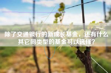除了交通银行的新成长基金，还有什么其它同类型的基金可以选择？