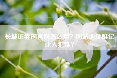长城证券的官网怎么用？网站地址难记让人犯难？