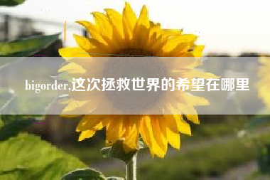 bigorder,这次拯救世界的希望在哪里