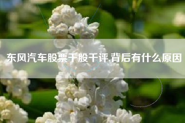 东风汽车股票千股千评,背后有什么原因