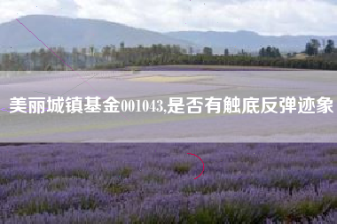 美丽城镇基金001043,是否有触底反弹迹象