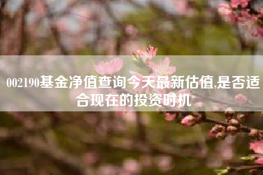 002190基金净值查询今天最新估值,是否适合现在的投资时机