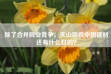 除了合并同业竞争，天山吸收中国建材还有什么目的？