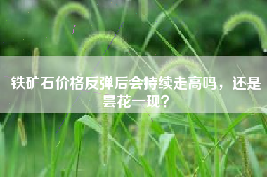 铁矿石价格反弹后会持续走高吗，还是昙花一现？