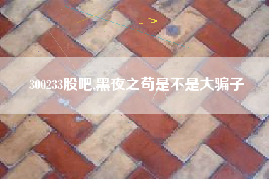 300233股吧,黑夜之苟是不是大骗子