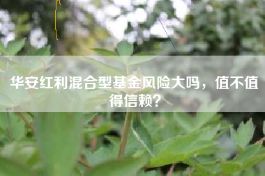 华安红利混合型基金风险大吗，值不值得信赖？