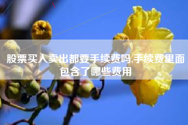 股票买入卖出都要手续费吗,手续费里面包含了哪些费用