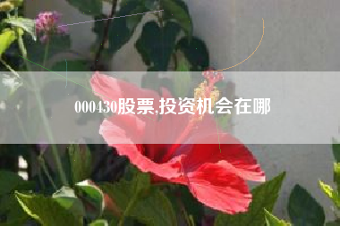 000430股票,投资机会在哪