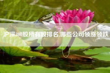 沪深300股所有股排名,哪些公司领涨领跌