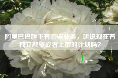 阿里巴巴旗下有哪些业务，听说现在有独立融资或者上市的计划吗？