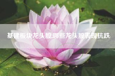 基建板块龙头股,哪些龙头股表现抗跌
