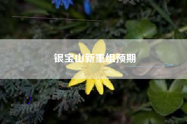 银宝山新重组预期