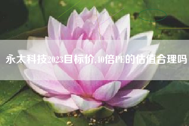 永太科技2023目标价,40倍PE的估值合理吗