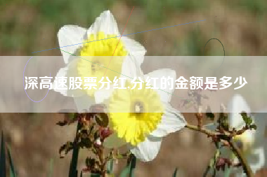 深高速股票分红,分红的金额是多少