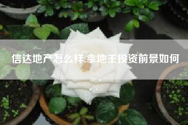 信达地产怎么样,拿地王投资前景如何