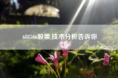 688506股票,技术分析告诉你
