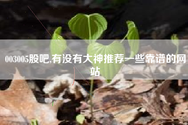 003005股吧,有没有大神推荐一些靠谱的网站