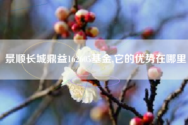 景顺长城鼎益162605基金,它的优势在哪里