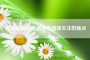 中天能源股吧,有哪些值得关注的观点