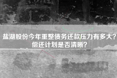 盐湖股份今年重整债务还款压力有多大？偿还计划是否清晰？