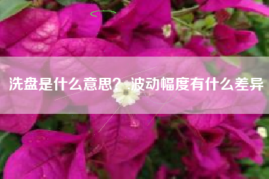 洗盘是什么意思？,波动幅度有什么差异