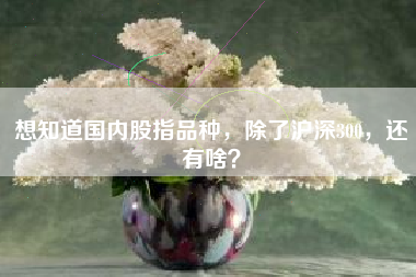 想知道国内股指品种，除了沪深300，还有啥？