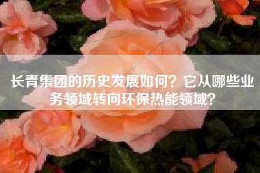 长青集团的历史发展如何？它从哪些业务领域转向环保热能领域？