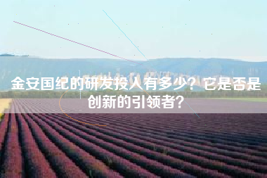 金安国纪的研发投入有多少？它是否是创新的引领者？