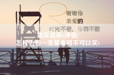 嘉实货币a净值(
怎样去看一支基金可不可以买)