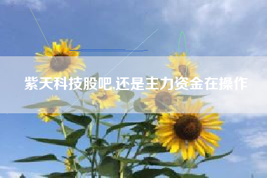 紫天科技股吧,还是主力资金在操作
