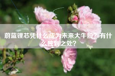 蔚蓝锂芯凭什么成为未来大牛股？有什么独到之处？