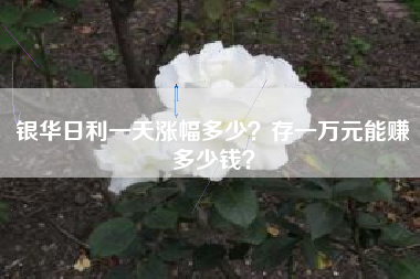 银华日利一天涨幅多少？存一万元能赚多少钱？