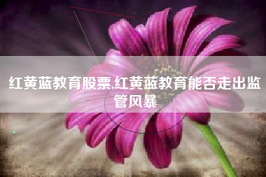 红黄蓝教育股票,红黄蓝教育能否走出监管风暴