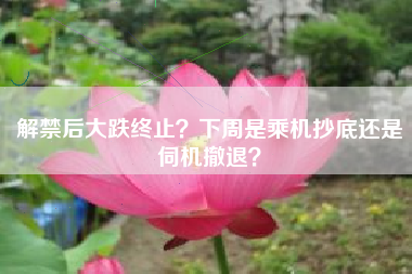 解禁后大跌终止？下周是乘机抄底还是伺机撤退？