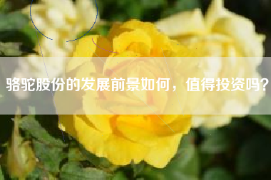 骆驼股份的发展前景如何，值得投资吗？