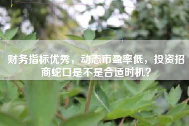 财务指标优秀，动态市盈率低，投资招商蛇口是不是合适时机？