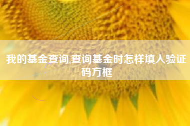 我的基金查询,查询基金时怎样填入验证码方框