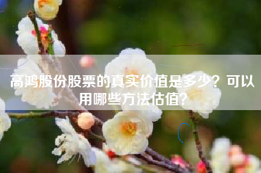 高鸿股份股票的真实价值是多少？可以用哪些方法估值？