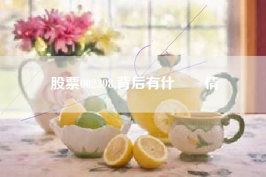 股票002398,背后有什麼隱情
