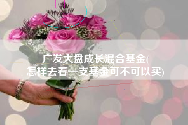 广发大盘成长混合基金(
怎样去看一支基金可不可以买) 广发大盘成长混合基金(
怎样去看一支基金可不可以买)