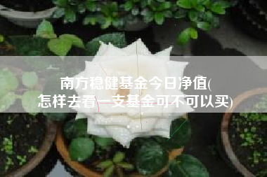 南方稳健基金今日净值(
怎样去看一支基金可不可以买)