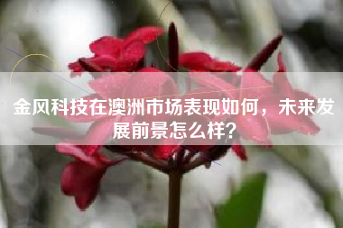 金风科技在澳洲市场表现如何，未来发展前景怎么样？